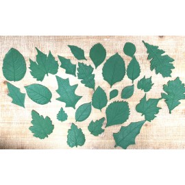 Small Leaf Assortment
